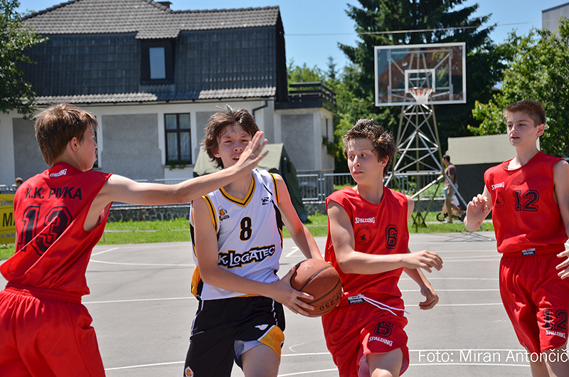 Dan košarke 2012