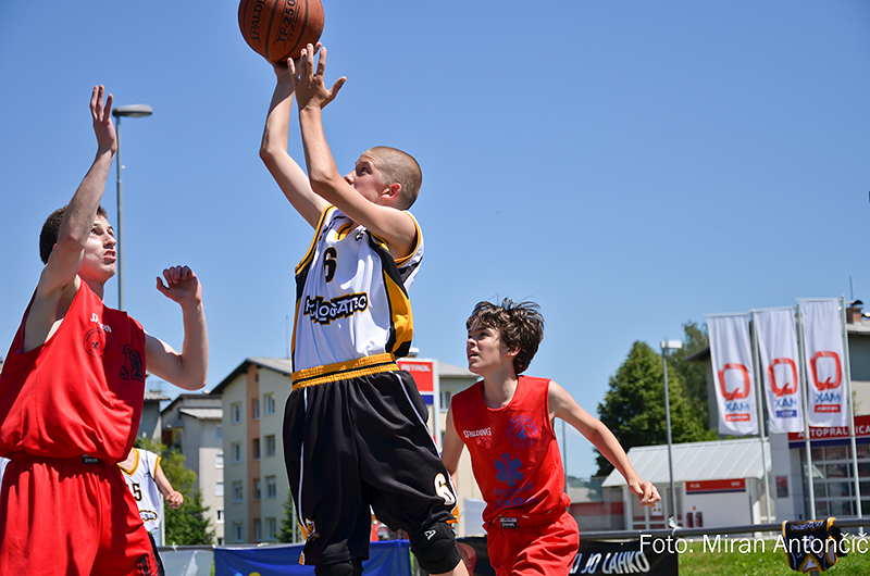 Dan košarke 2012
